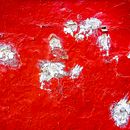 Otros universos . Fotografi, Fotografi Seni Rupa, Dan Fotografi Digital proyek oleh Aldo Diosdado - 02.19.2019