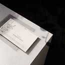 Branding I. Un proyecto de Br e ing e Identidad de momo no kosame. - 06.08.2019