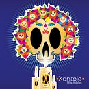 ilustración para medio digital- día de muertos. Een project van Vectorillustratie van ervin mendoza - 15.10.2018