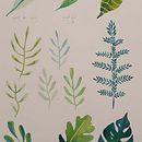 Plantas y lettering. Een project van Architectuur,  Schetsen y Traditionele illustratie van ale_oliva2008 - 12.08.2019