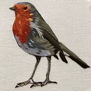 Mi Proyecto del curso: Pintar con hilo: técnicas de ilustración textil. Un projet de Broderie de carmina_ba - 16.08.2019