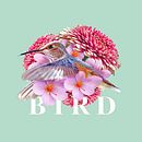 BIRD: Estampado textil con técnicas digitales. Un projet de Collage , et Dessin artistique de Diego José Guzmán González - 21.08.2019