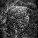 @ II. Un projet de Photographie, Photographie artistique, Photographie smartphone , et Photographie numérique de Johnny Chavez Castilla - 01.03.2016