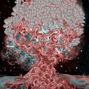 Trip Magic . Desenho artístico projeto de Israel Michaud - 24.08.2019