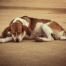 Un retroceso.. Fotografia projeto de Adrián Brenes Retana - 10.08.2019