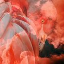 Soft Dreams. Colagem, Criatividade, Design, Design de cartaz, Fotografia, Fotografia artística, Fotografia digital, Pós-produção fotográfica, e Retoque fotográfico projeto de Ana Valverde Prieto - 09.07.2019