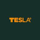 Tesla. Un proyecto de Br e ing e Identidad de David del Castillo - 03.09.2019