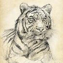 Animales salvajes - naturaleza. Pencil Drawing, Artistic Drawing, Realistic Drawing, and Traditional illustration project by Ricardo Sánchez Rodríguez - 09.03.2019