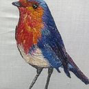 Mi Proyecto del curso: Pintar con hilo: técnicas de ilustración textil. Un progetto di Ricamo e Artigianato di María Graciela Jimenez - 16.09.2019