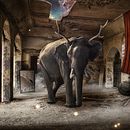 Mi Proyecto del curso: Secretos del fotomontaje y el retoque creativo. Un progetto di Fotografia digitale e Illustrazione digitale di Daniel Angulo González - 12.09.2019