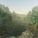 Unity Forest. 3D, 3D Animation, Game Design, and Video Games project by Andrea Conde - 09.06.2019
