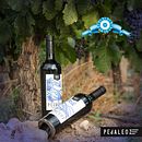 Vino Pedaleoz. Design, Graphic Design, Video Editing, and Social Media project by Nadia Rodríguez Paz - 09.08.2019