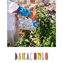 Mi Proyecto del curso: Fotografía profesional para Instagram #DAMACONGObydamaris @bethancouramaland. Photograph project by Bobby Bethancourt - 09.11.2019