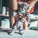 Shooting con el gatito Kiwi. Een project van Fotografie van Barbara Izquierdo Romagosa - 22.09.2019