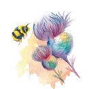 Mi Proyecto del curso: Retrato ilustrado en acuarela . Ilustrație botanică de Paula Lara Cuevas - 06.23.2020