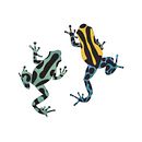 Vector Illustrations. Ilustração tradicional projeto de Andriele Cristina - 24.09.2019