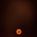 Blood Moon. Fotografia projeto de Noèlia Andrés - 24.09.2019