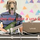 REEL VIDDYLAB 2019 by Carla Páez. Projekt z dziedziny Cop, writing, Ed i cja filmów użytkownika Carla Páez Rasquin - 01.09.2019