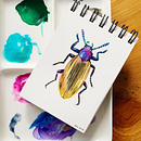 DIARIOS - MIS INSECTOS. Traditional illustration, and Watercolor Painting project by Paulina Maciel · Canela - 10.04.2019