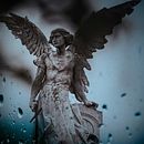 Mi Proyecto del curso: Introducción a la fotografía digital Ein Projekt aus dem Bereich Fotografie von maaramar - 05.10.2019