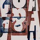 Muscae Volitante. Un proyecto de Bellas Artes, Diseño gráfico, Estampación, Lettering y Tipografía de Pedro Navarro González - 05.10.2019