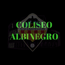 Proyecto web Coliseo Albinegro Ein Projekt aus dem Bereich Cop, writing und Werbung von Iván Higueras Calduch - 08.10.2019