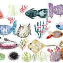Peixes. Ilustração tradicional projeto de Catarina Vitorino - 10.10.2019