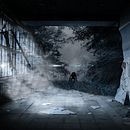 Mi Proyecto del curso: Secretos del fotomontaje y el retoque creativo Ein Projekt aus dem Bereich Grafikdesign und Bildbearbeitung von Leonardo Pucheta - 17.10.2019