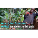 MOSHI (II): Materuni, la tribu Chagga y el cultivo del caféNuevo proyecto. Stor, and telling project by Natalia Luppens Alvarez - 10.21.2019