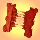 Mi Proyecto del curso: Creación de personajes con ZBrush y Cinema4D Ein Projekt aus dem Bereich Design von 3-D-Figuren von Jose Antonio Aroca - 23.10.2019