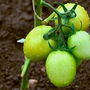 Mi Proyecto del curso: Etalonaje digital con DaVinci Resolve . Un proyecto de Cine, vídeo y televisión de Daniel S. Hernández - 04.11.2019