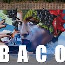 BACO. Un proyecto de Arte urbano de Nextor Otaño - 13.11.2019