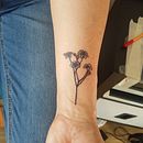 Mi Proyecto del curso: Tatuaje para principiantes Ein Projekt aus dem Bereich Tattoodesign von camila_ecg - 14.11.2019