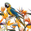Vector seamless background with parrot and flowers. Traditional illustration, Vector Illustration, and Pattern Design project by Julia Bereznikova - 06.15.2019