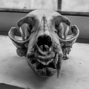 Mi Proyecto del curso: Cómo diseñar un tatuaje. Un progetto di Creatività, Disegno e Disegno a matita di Juan Martell - 17.11.2019