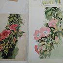 Inicios con dibujo y acuarelas . % Sara Palmés tarafından hazırlanan Güzel sanatlar, Kalem Çizimi, Sulubo, Ve a Resim projesi - 11.18.2019