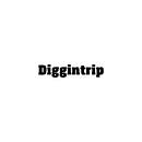 Diggintrip. UX / UI, Br, ing, Identit, Product Design, and Naming project by 9pt - 11.25.2019