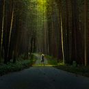 Mi Proyecto del curso: La luz fantasma: técnica de iluminación y tratamiento del color. Un progetto di Fotografia di gangcha60 - 28.11.2019