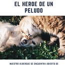 Mi Proyecto del curso: Fotografía profesional para Instagram. Un projet de Réseaux sociaux de Camila Guerra Espitia - 07.02.2020