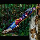 Emotional root. Acr, and lic Painting project by Fiorella Giachino - 12.01.2019