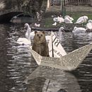 Mi Proyecto del curso: Fotomontaje surrealista con Photoshop  . Kreativitas, Fotografi, Dan Fotografi Digital proyek oleh Julian Arozarena - 12.13.2019