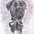 My first project in Portrait with Pencil, Colour Techniques and Photoshop co Ein Projekt aus dem Bereich Zeichnung, Traditionelle Illustration, Malerei und Realistische Zeichnung von Danni Meyerson - 09.12.2019