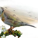  La plegaria del pájaro . Film, Video, TV, Animasi, Fotografi Pascaproduksi, Film, VFX, Animasi Karakter, animasi 3D, pemodelan 3D, Pengeditan Video, Dan Pascaproduksi Audiovisual proyek oleh Juan María Algaba Martínez - 05.08.2022