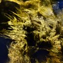 De la Transmutación de la Materia a la Transformación Interior. Un projet de Photographie artistique de Raquel Galo - 11.12.2019