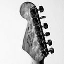 Serie Musical. Een project van Artistieke fotografie van Luis Medina - 11.12.2019
