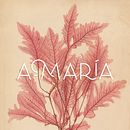 Branding para A-María. Un progetto di Br, ing, Br e identit di Natalia Perez Penagos - 13.02.2019