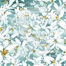 Flor de Azahar. Un projet de Beaux Arts, Dessin, Dessin artistique , et Publicité de Julia Lillo García - 18.04.2016