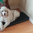 Mi Proyecto del curso: Textile Toys: diseño y creación de personajes en tela. Un projet de Couture de Irene Salazar Villagómez - 19.12.2019