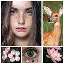 Fuentes de inspiración ("moodboard"). Un proyecto de Bellas Artes de aina18 - 22.12.2019