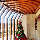 Mi Proyecto del curso: Fotografía profesional para Instagram . % Lolo Ruiz tarafından hazırlanan Fotoğrafçılık projesi - 12.25.2019